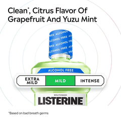 Listerine Alcohol-Free Mild Mouthwash - Citrus Mint - 500ml: 1 Pack