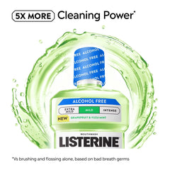Listerine Alcohol-Free Mild Mouthwash - Citrus Mint - 500ml: 1 Pack